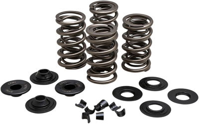 SPRING KIT .650VL EVO/TC