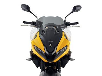WINDSCREEN SPORT TIGER SPORT 8