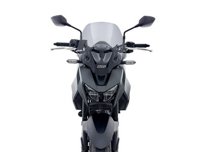 WINDSCREEN SPORT HORNET 750 DA