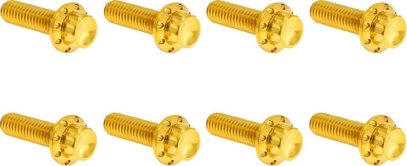 HARDWARE KIT TITANIUM 12-PNT M