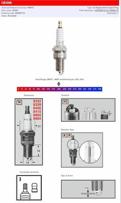CHAMPION S-PLUG RN9YC