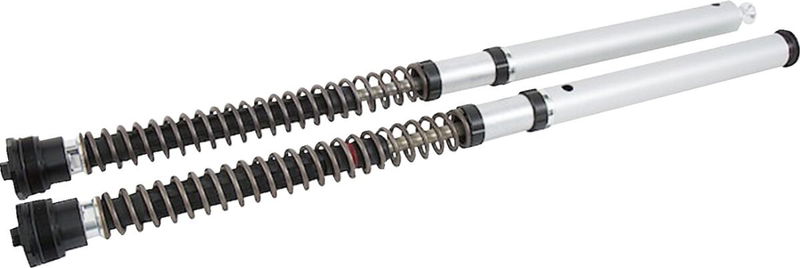 CARTRIDGE KAWASAKI Z900 NIX30S