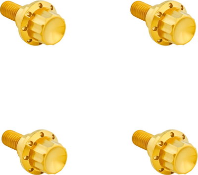 BOLT KIT TITANIUM - FLTR 23-25