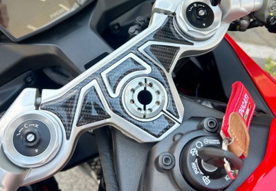 YOKE PROTECTOR PANIGALE V2