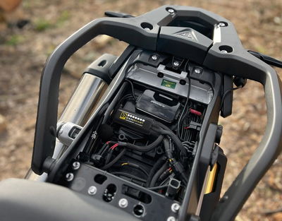 CANSMART GEN II TRIUMPH TIGER