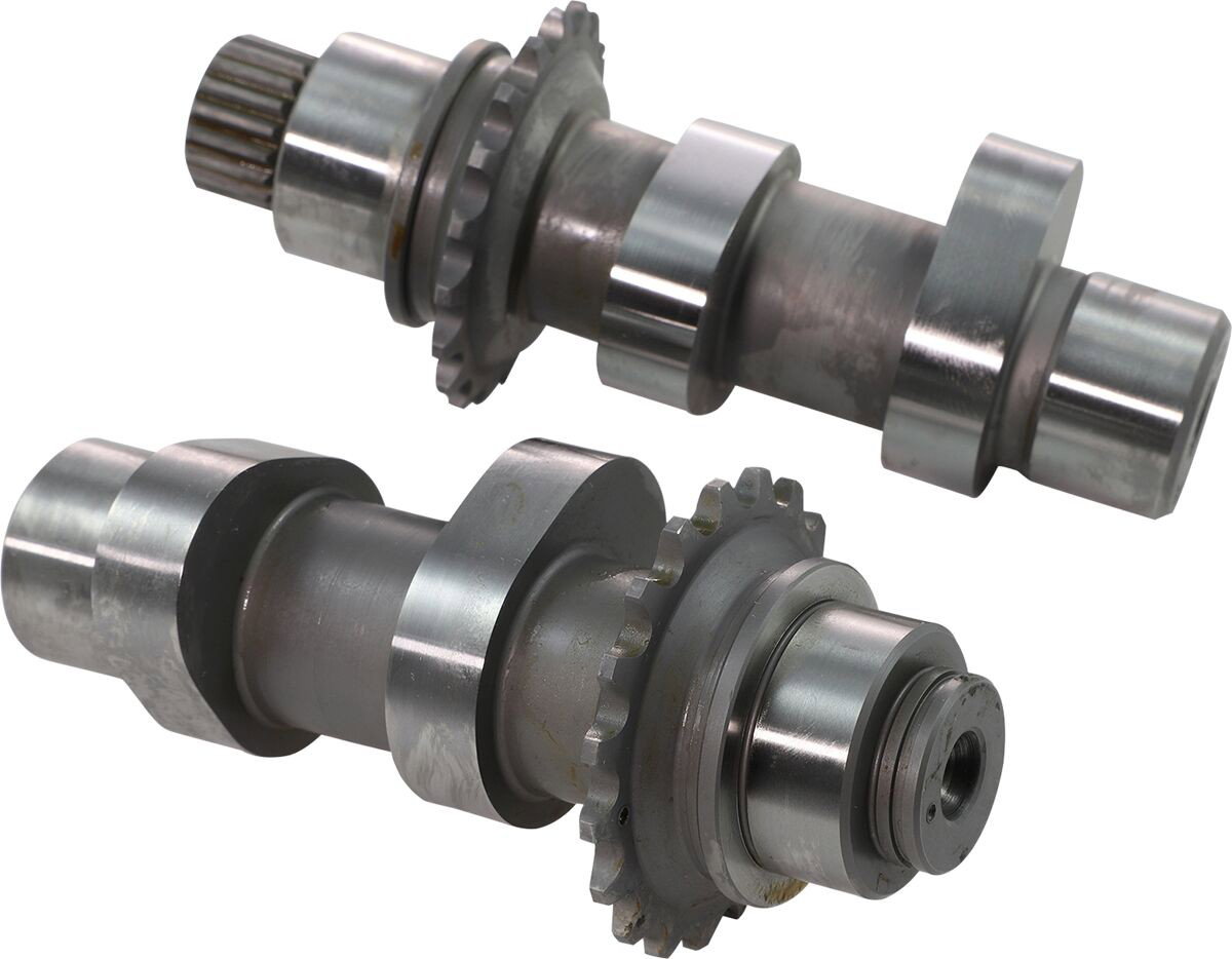 CAMS 21H 06DYNA 07-17 TC