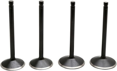 VALVE KIT 99-04 TC 88