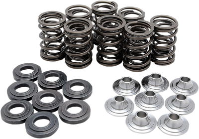 SPRING KIT VALVE TI RZR
