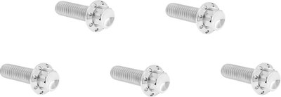 BOLT KIT TITANIUM - M8 17-UP -