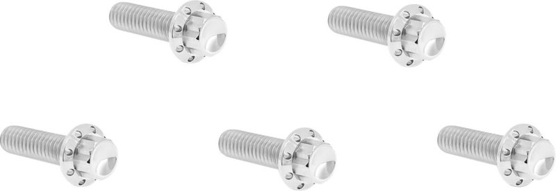 BOLT KIT TITANIUM - M8 17-UP -