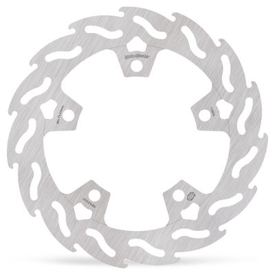 BRAKE DISC FLAME REAR
