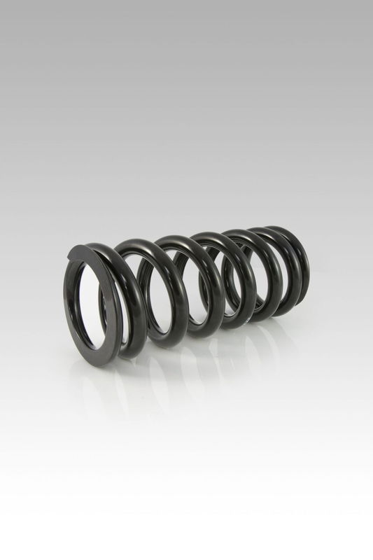 RR SHOCK SPRING LOW KIT -40MM