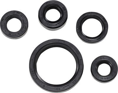 SEAL OIL SET DRZ200
