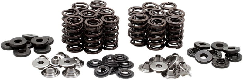 VALVE SPRING KIT ZX10R