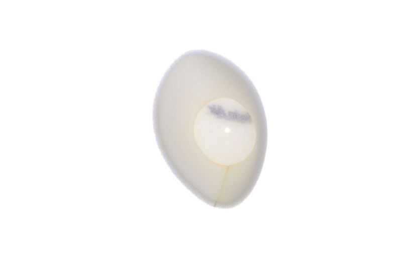 FILTER DUST CVR YZ85