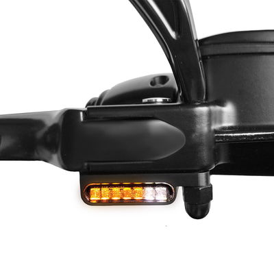 TURN SIGNAL - STRIPES - FLT 21