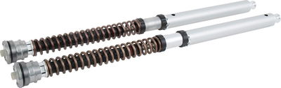 CARTRIDGE DUCATI NIX30 FGK 229