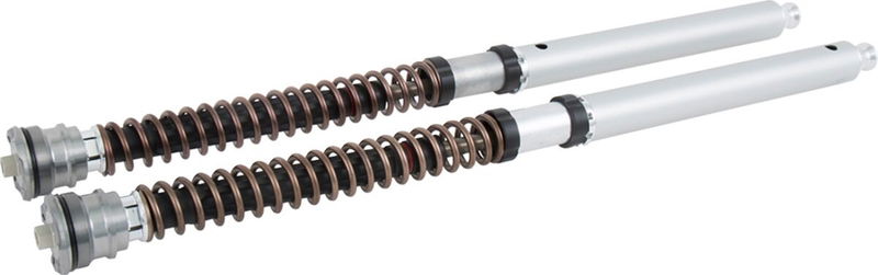 CARTRIDGE DUCATI NIX30 FGK 229