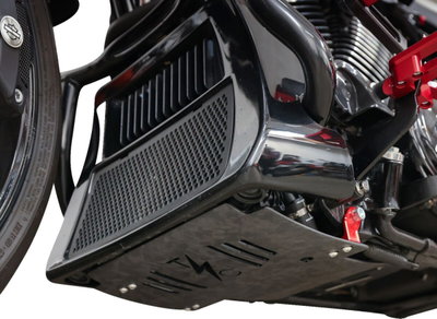 PLATE SKID CARBON FORGED W/RED