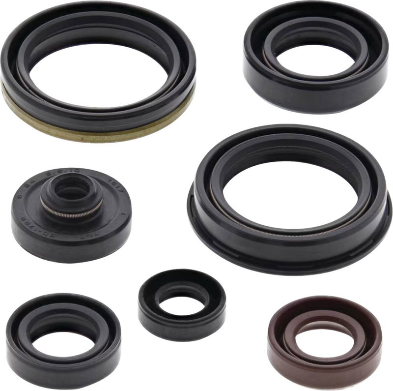 Oil Seal Kit