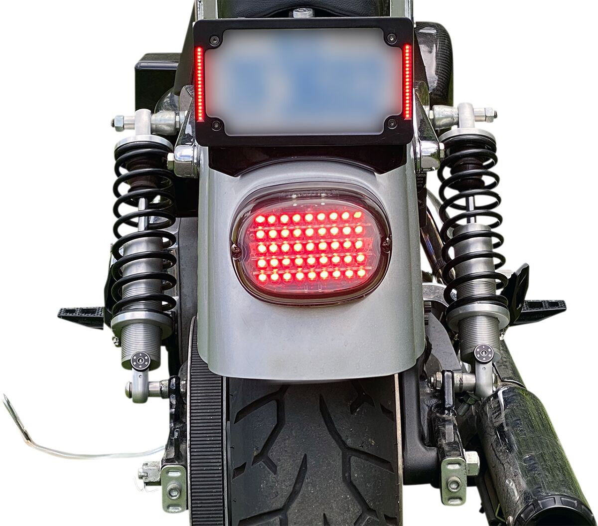 LOW PROFILE TAILLIGHT WITH WIN
