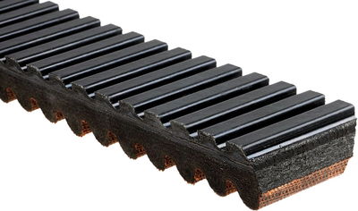 BELT DRIVE G-FORCE C12