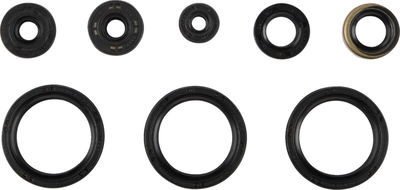 OIL SEAL SET KAW