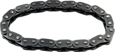 CAM CHAIN INNER- 07-17 TC - #2