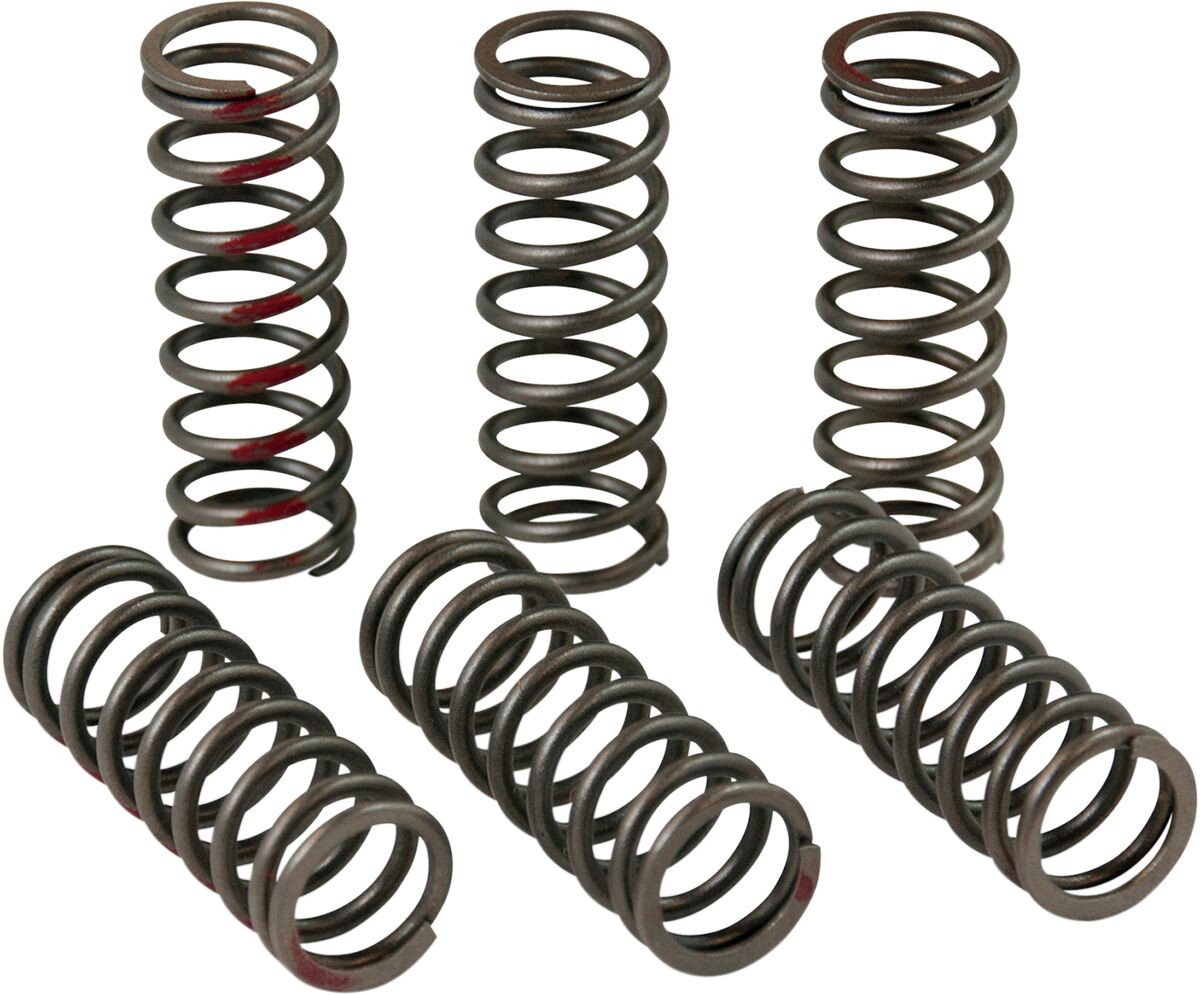 CLUTCH SPRINGS CRF450R