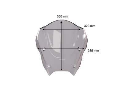 WINDSCREEN SPORT BMW R1300RS D