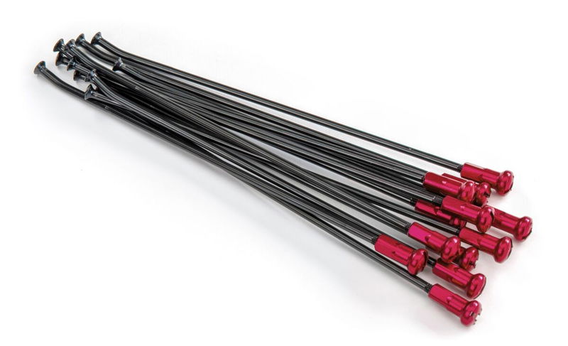 SPOKES 19 RR BK / RE NI 12PC