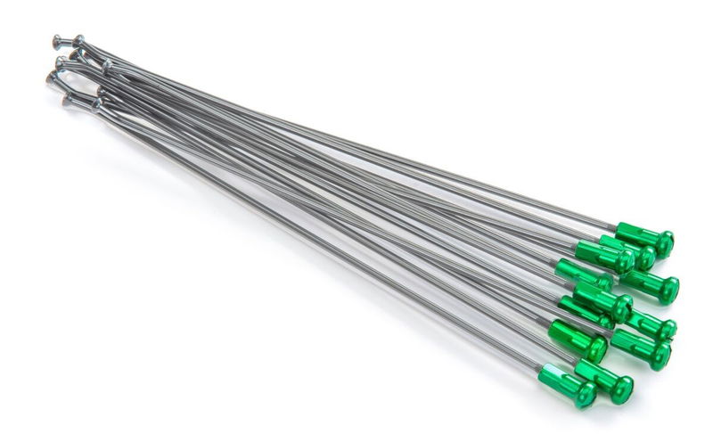 SPOKES 19 RR SI /GN NIP 12PC