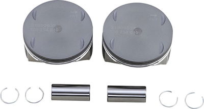 PISTONS 107.010 M8