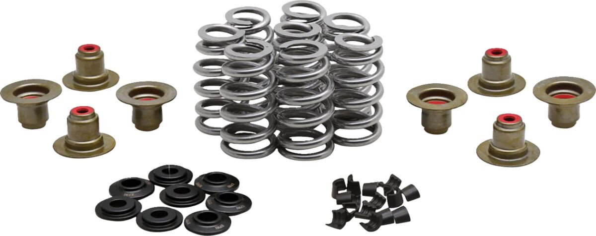 BEEHIVE VALVE SPRING KIT 0.640
