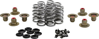 BEEHIVE VALVE SPRING KIT 0.640