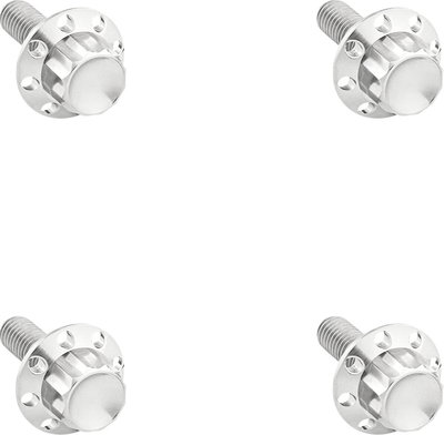 BOLT KIT TITANIUM - FLHX 24-25