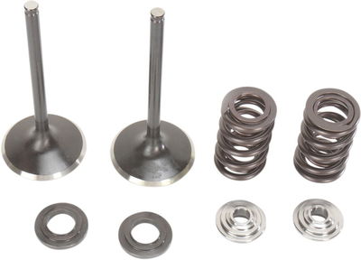 VALVE KIT IN MSE CRF450