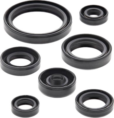 Oil Seal Kit