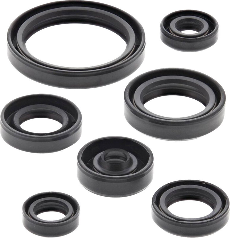 Oil Seal Kit