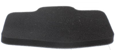 Foam FIlter JMP
