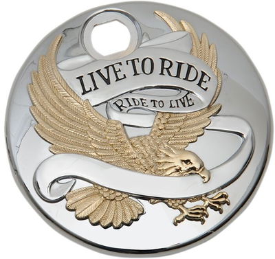 DOOR GAS LTR GOLD 92-07