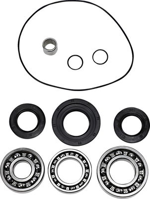 DIF BEARING SEAL KIT RR
