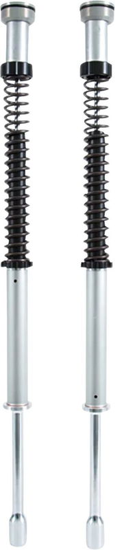 CARTRIDGE HARLEY-DAVIDSON FXD