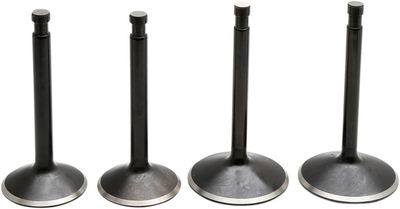 VALVE KIT 70-83 SPORTSTER