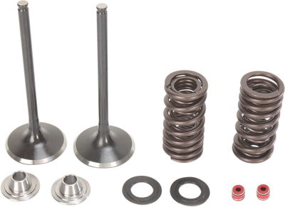 VALVE KIT IN MSE CRF250