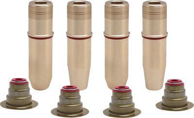 VALVE GUIDE KIT MNG BRONZE STD