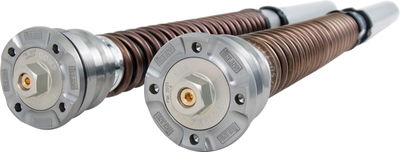 CARTRIDGE DUCATI NIX30 FGK 229