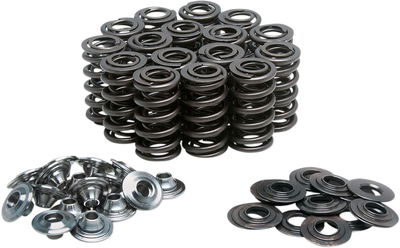 VALVE SPRING KIT GSXR1000