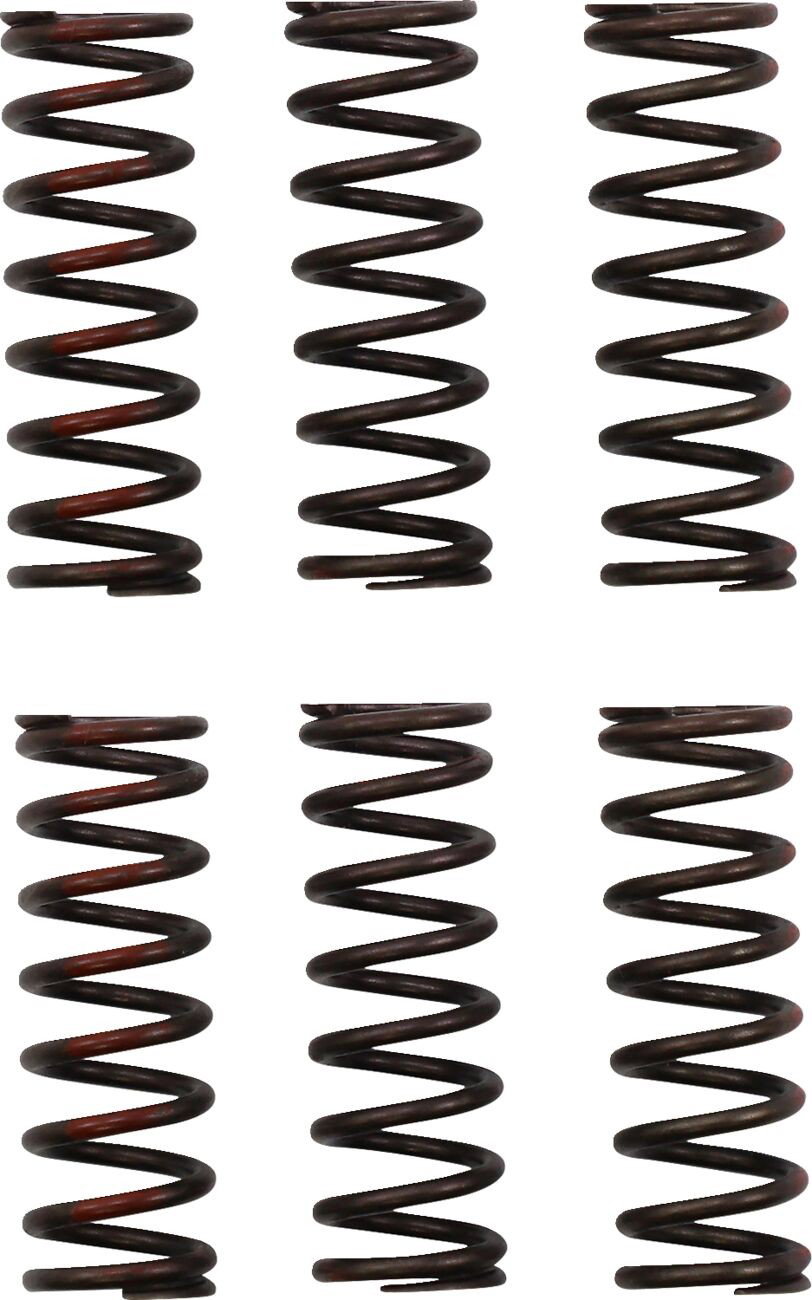 CLUTCH SPRING CRF450R