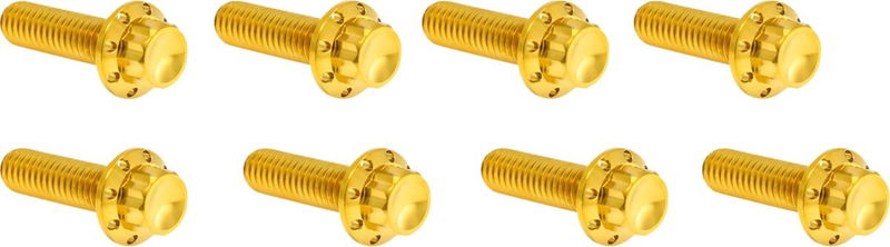 BOLT KIT TITANIUM - TC & M8 -